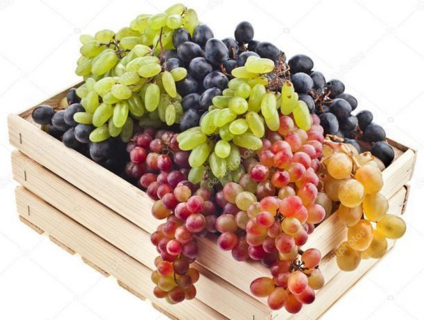 Ярмарка винограда состоится в Кишиневе в воскресенье