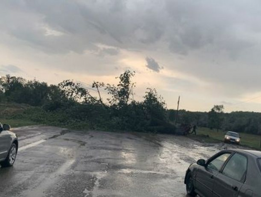 Непогода обрушилась на южные районы Молдовы