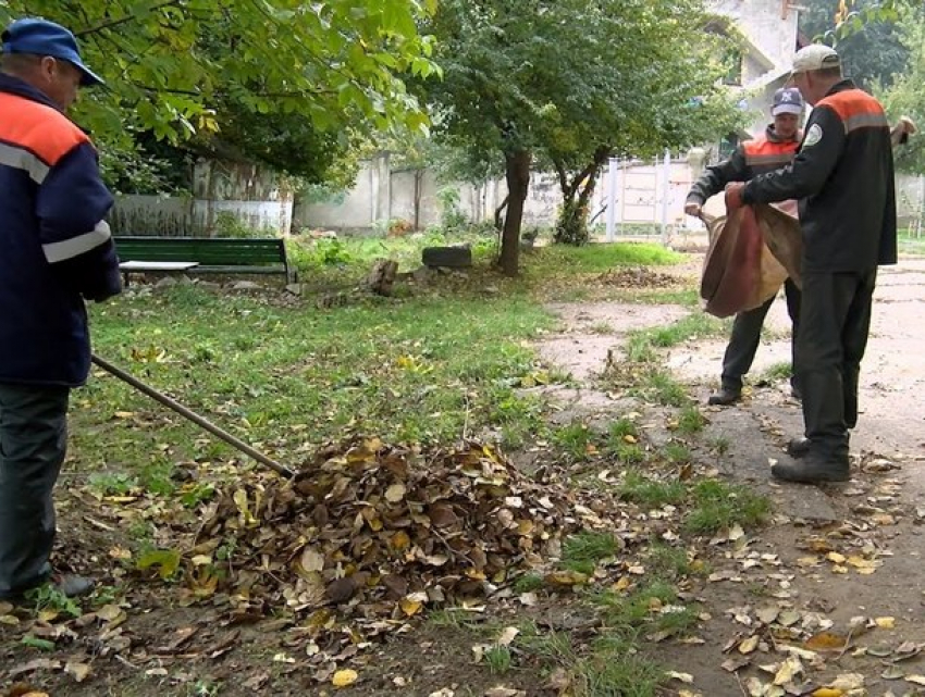 В Кишиневе стартует осенняя кампания по уборке листьев 