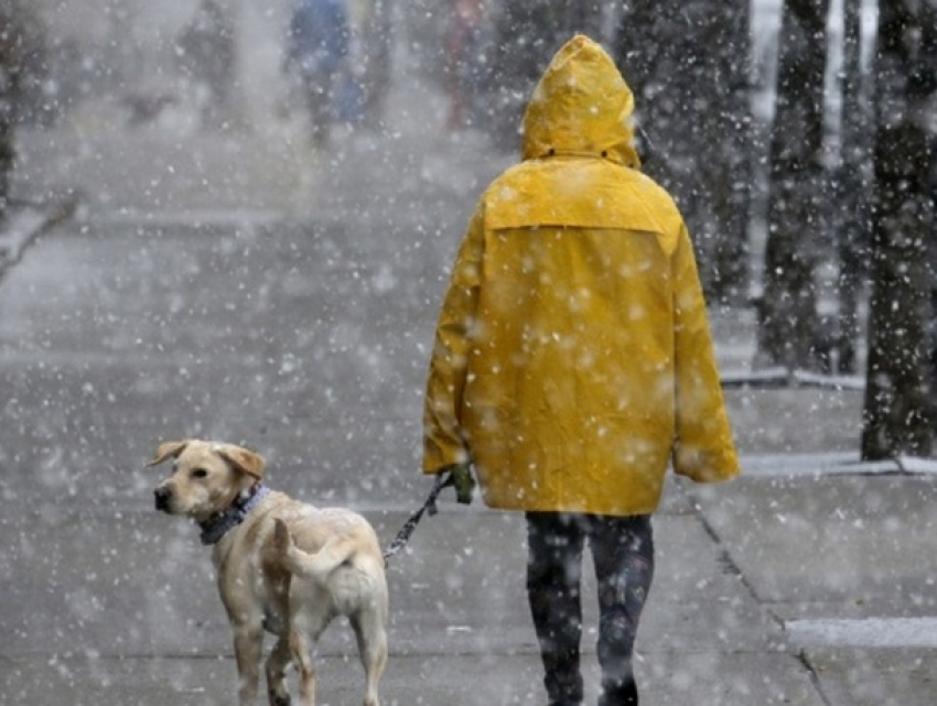 В понедельник в Молдове ожидаются осадки в виде мокрого снега 