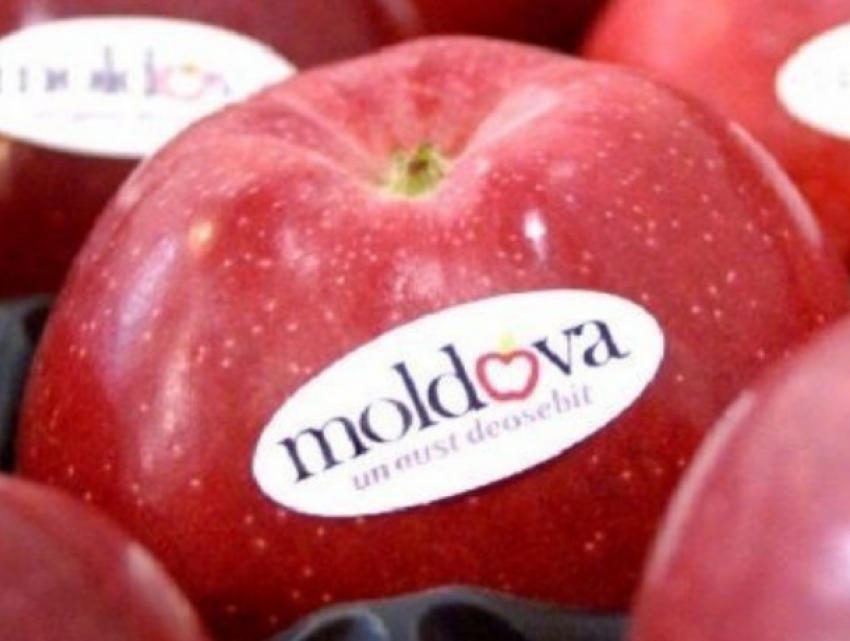 В феврале ожидается резкий наплыв молдавских яблок в Россию