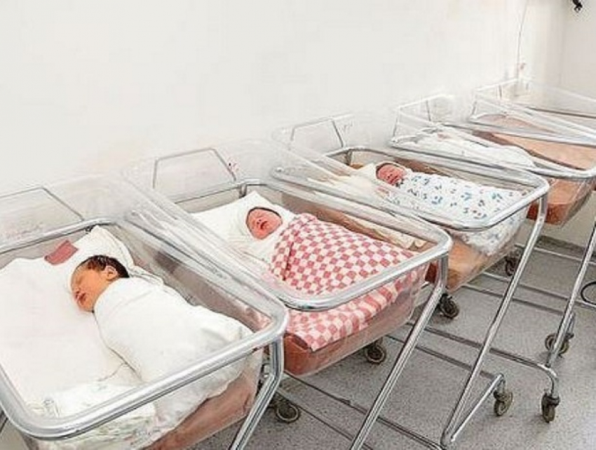 Парламентское большинство не поддержало инициативу социалистов о введении «коробки для новорожденных»