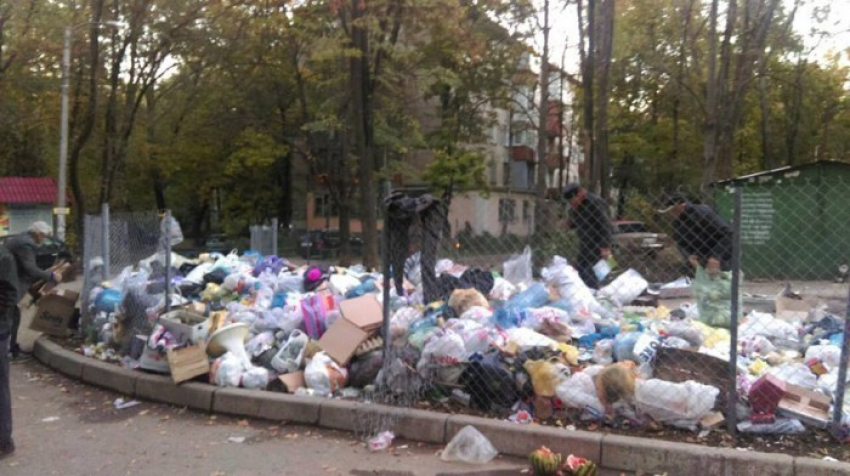 В День города мусор из одного из кишиневских дворов вывезли вместе с урнами 