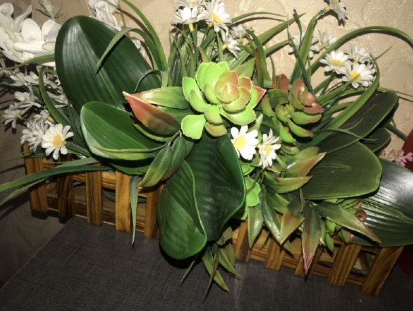  Декоративные цветы в Молдове - услада для глаз в карантин