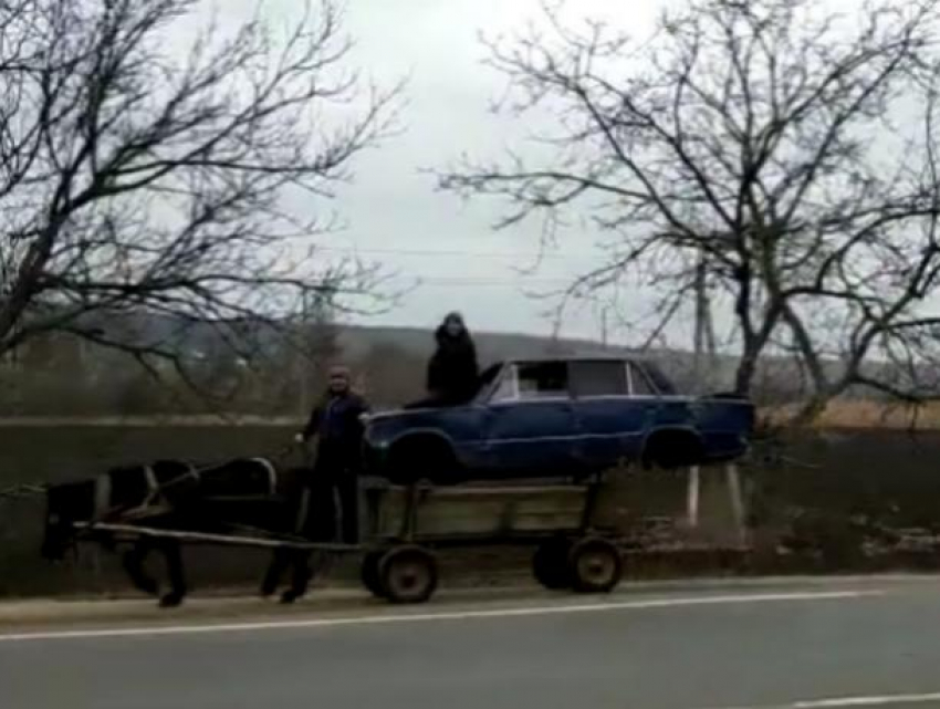 «Сельское такси» - в Новоаненском районе придумали уникальный гибрид коня и автомобиля 