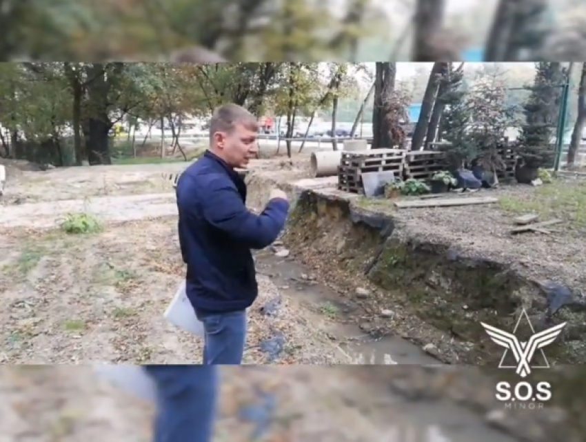Лесопарк Прункул в Кишиневе изуродован по вине властей - общественный активист