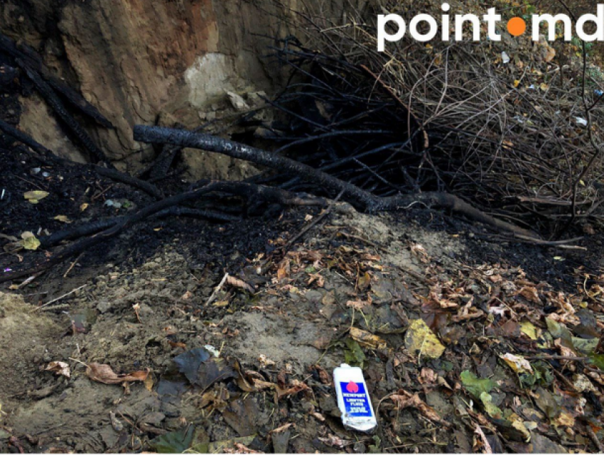 На месте пожара «Моста влюбленных» в парке Долина Роз найдены улики поджога