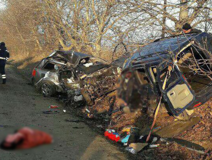 Женщина, впавшая в кому после автокатастрофы с гибелью мужа и ребенка под Новыми Аненами, пришла в сознание