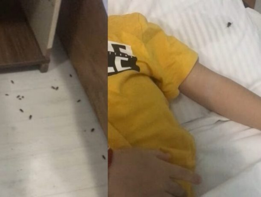 Слабонервным не смотреть. Полчища тараканов атакуют детскую больницу