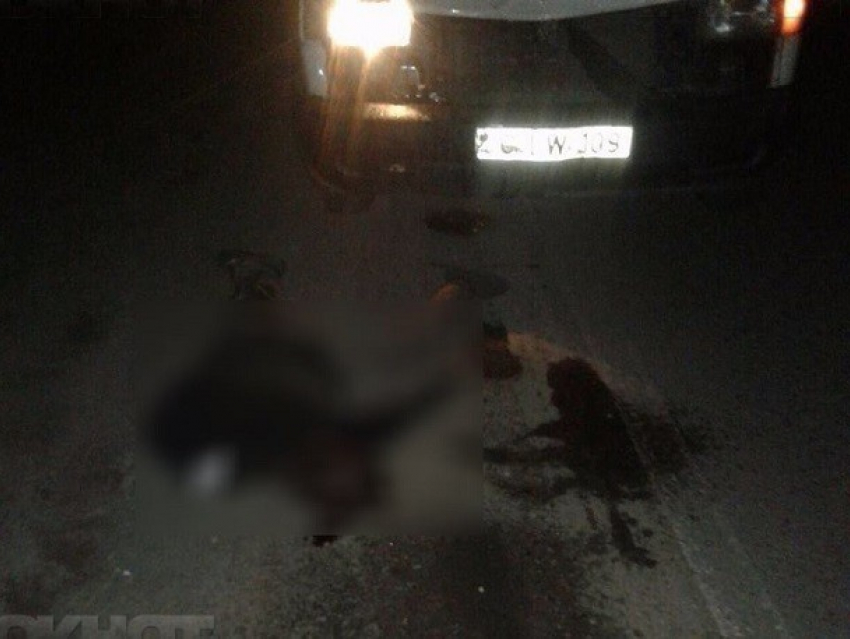 Мать и сын погибли под колесами иномарки с 18-летним парнем за рулем в Кишиневе 