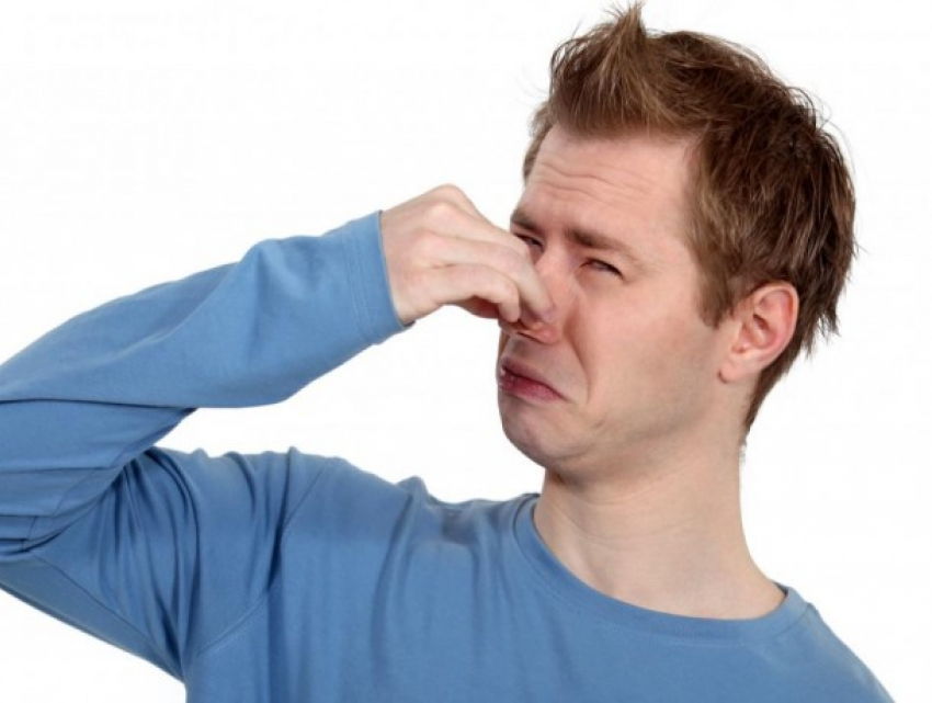 Пронесет ли летнюю вонь мимо Кишинева в этом году