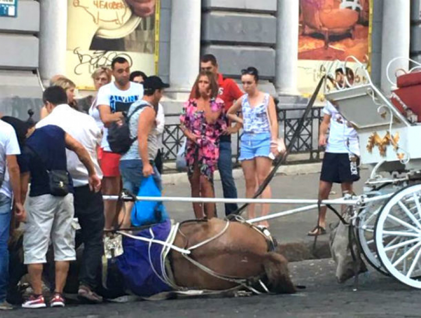 Хозяйку упавшей от жары прогулочной лошади попытались растерзать одесситы
