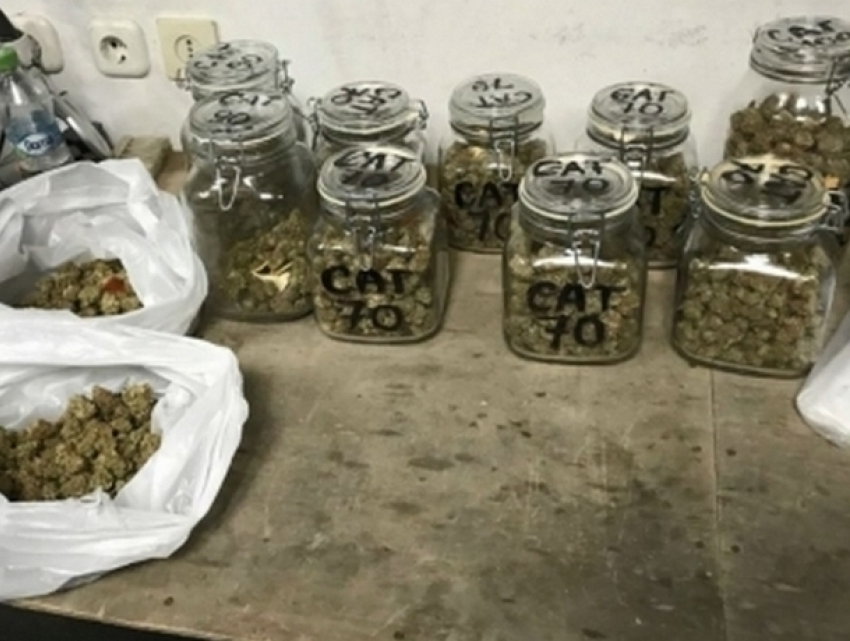 Мощную сеть наркоторговцев выявили агенты под прикрытием в Кишиневе