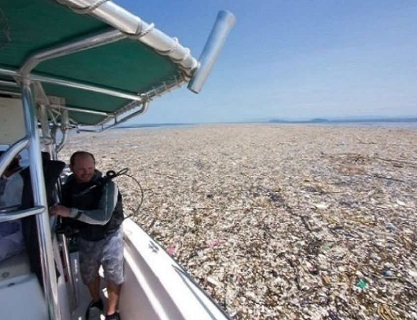 Огромный плавучий остров из мусора в Карибском море шокировал туристов и ученых