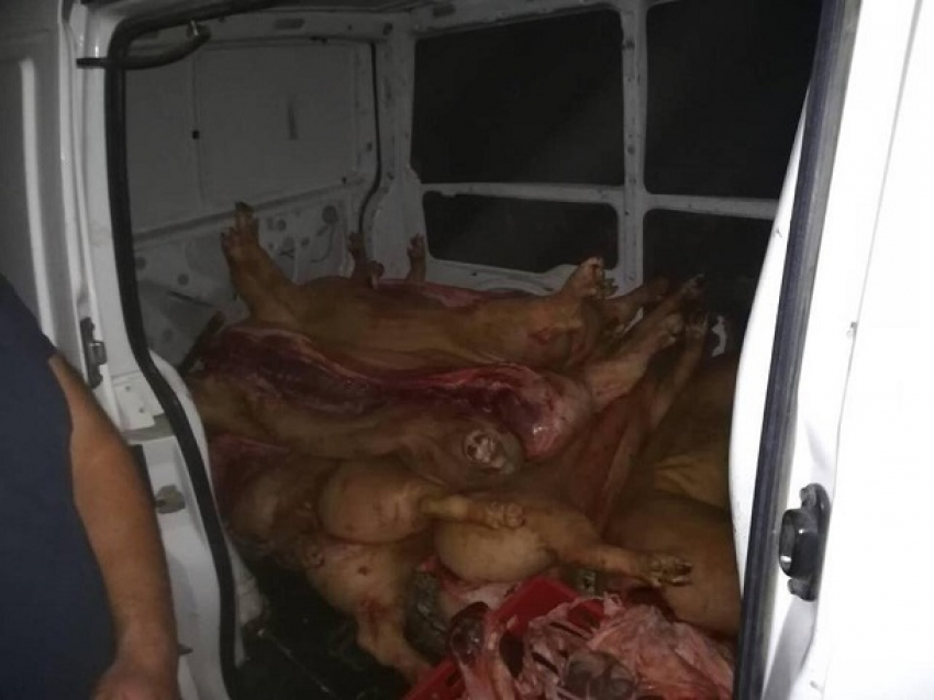 Опасную свинину попытался провезти в центр Кишинева водитель грузовика