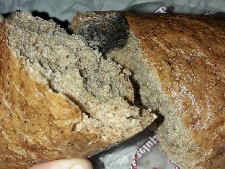 Жуткую отраву обнаружил в купленном батоне хлеба житель Кишинева