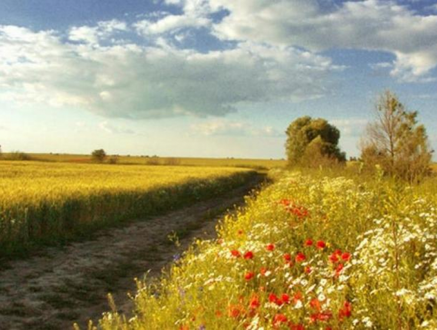 Суббота в Молдове будет жаркой 