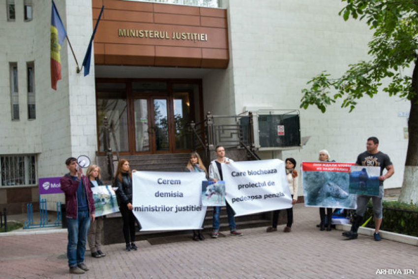 Акция протеста в столице: зоозащитники потребовали отставки министра юстиции Молдовы