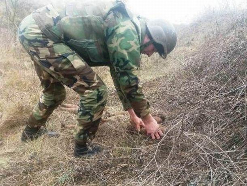 Опасные снаряды обезврежены сапёрами в Каушанском районе