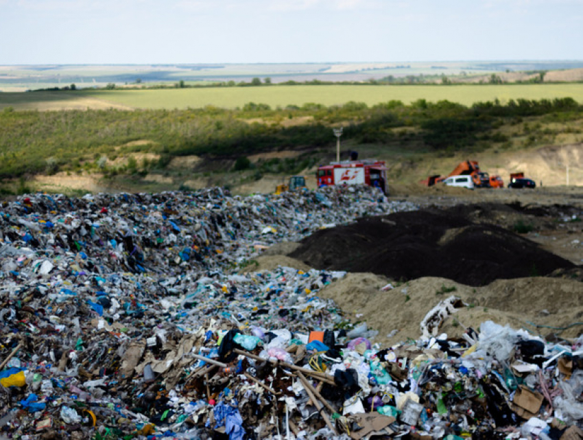 Экология волнует большинство жителей Молдовы