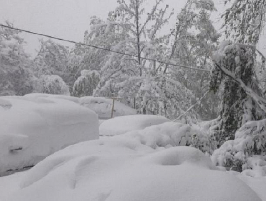Ровно 5 лет назад случился знаменитый апрельский снегопад