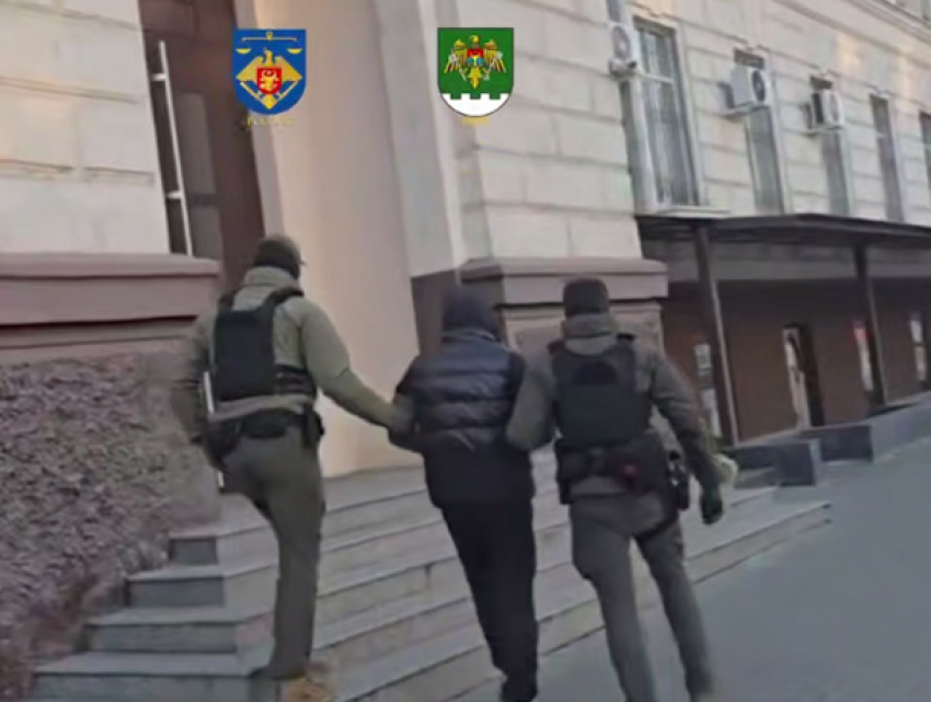 Пограничники и прокуроры разоблачили схему контрабанды с ворованными авто из Франции