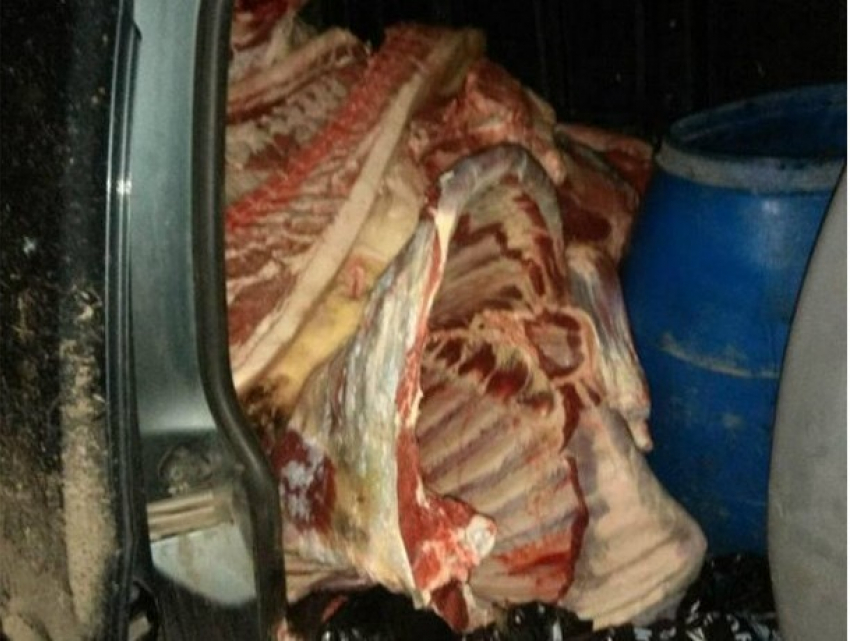 Полтонны опасного мяса обнаружили в направлявшемся в столицу автомобиле
