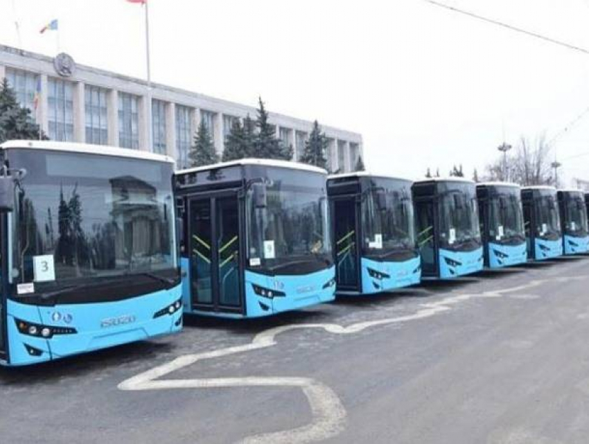 Автобусная неразбериха – примария обратилась в парламент