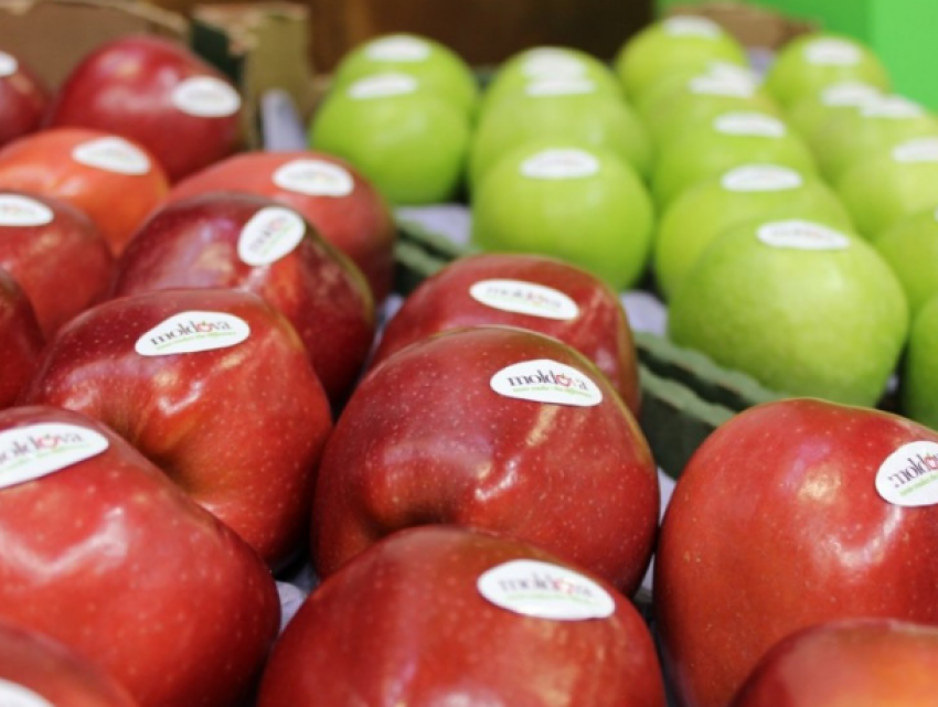 Молдавские фермеры просят соотечественников: «Покупайте яблоки вместо цветов"