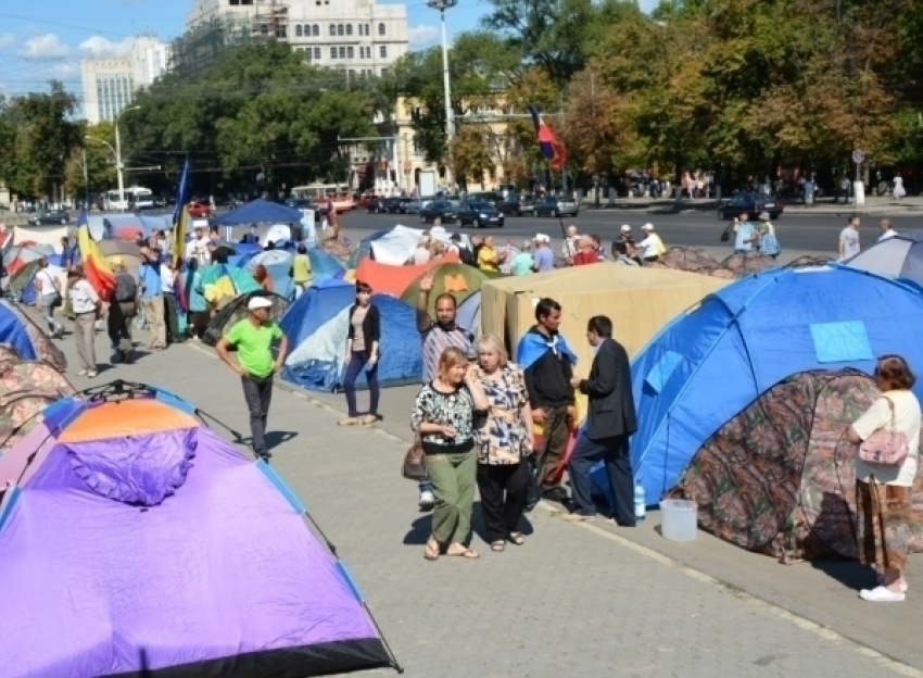 Апелляционная палата: Палатки «DA» должны быть убраны с площади