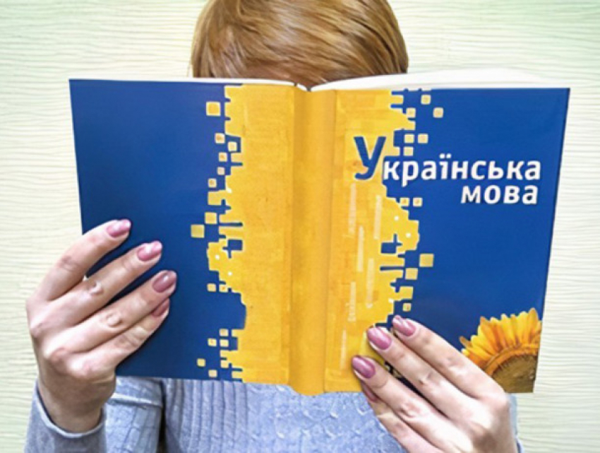 Минобразования Молдовы утвердило план по продвижению украинского языка в школах