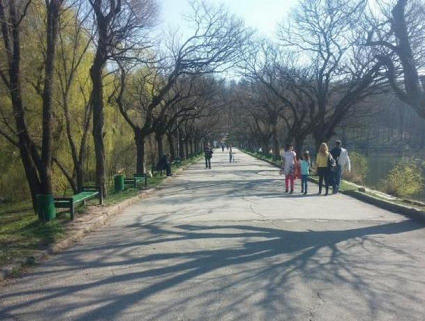 Срочно! Парк Долина Роз мог взлететь на воздух 