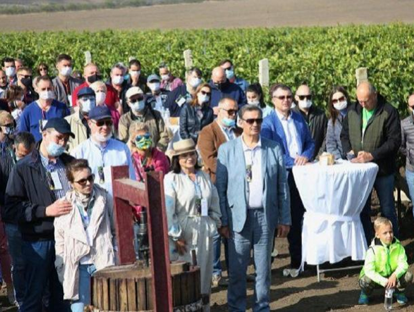Послы иностранных стран собрали виноград в Гагаузии