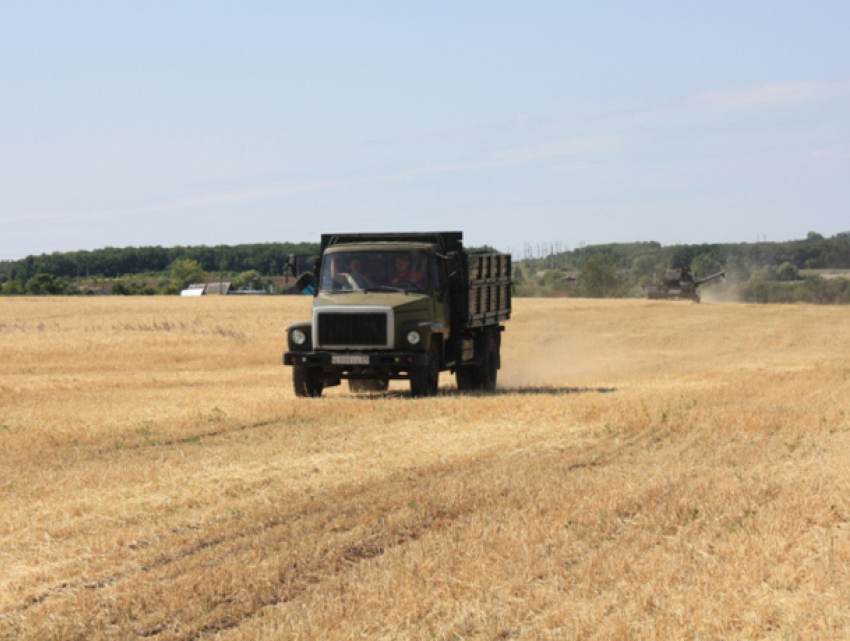 Молодой мужчина погиб на поле с ячменем во Флорештском районе