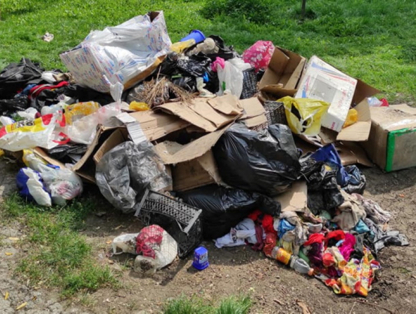 Бельцы и мусор теперь неразлучны - из парков больше не вывозят отходы