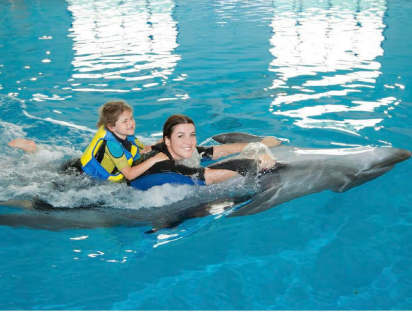 Удивительные трюки с «мужиком» дельфином в Дубае показала певица Жасмин
