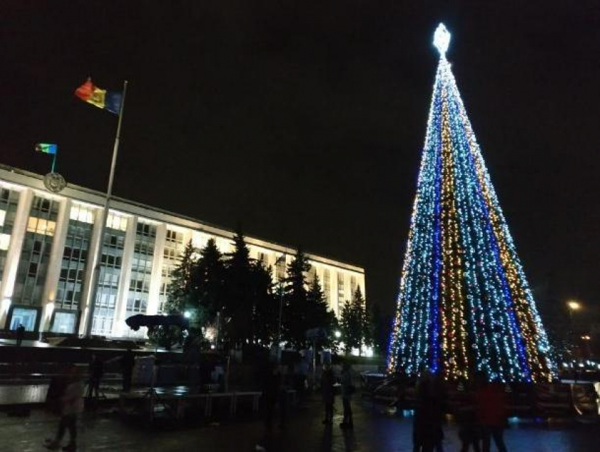  На ПВНС состоялось торжественное открытие новогодней ели 