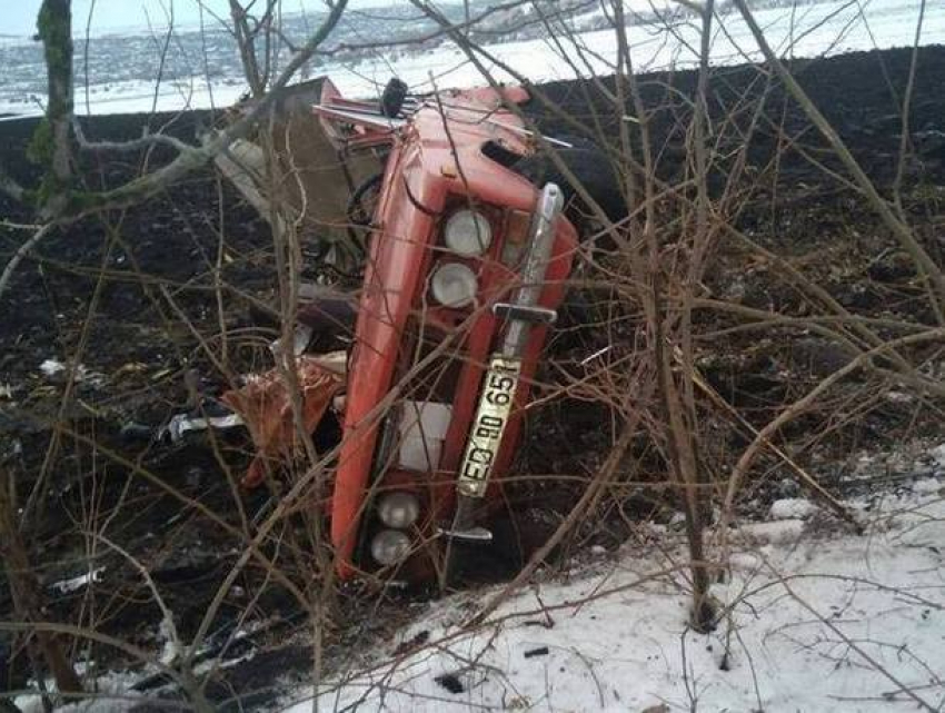 Водитель врезался в дерево и погиб в страшной аварии в Единецком районе 