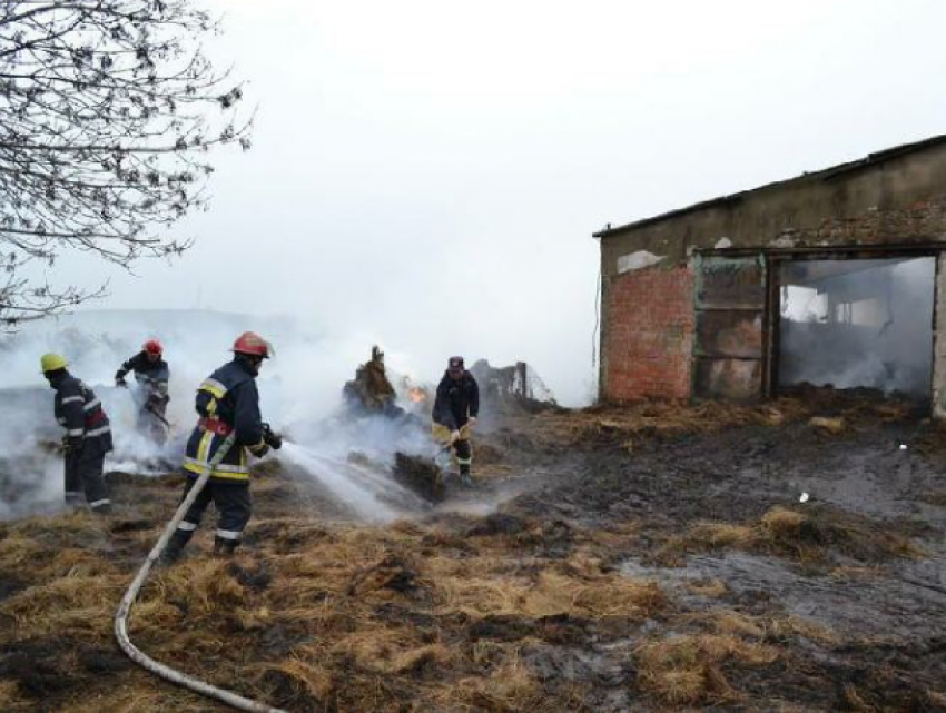 Пожар в Леовском районе уничтожил 35 овец