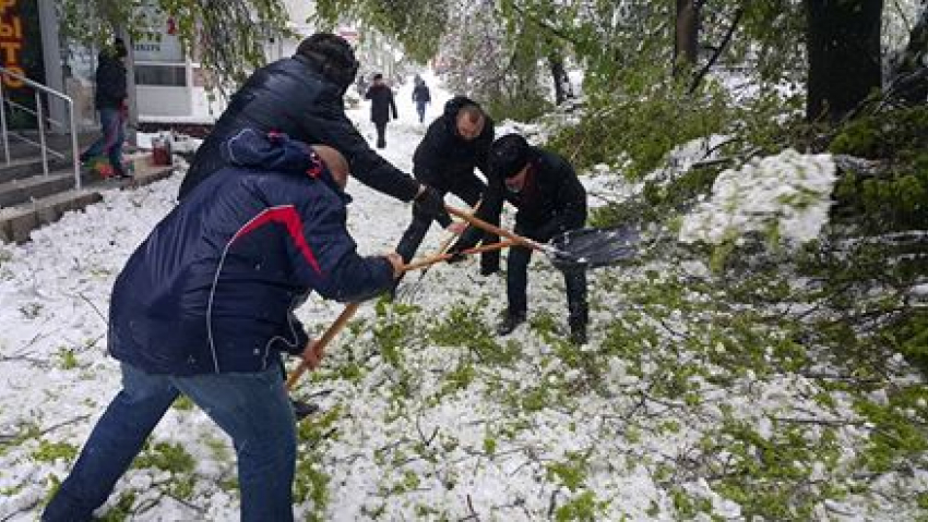 Социалисты массово вышли на расчистку Кишинева от упавших деревьев