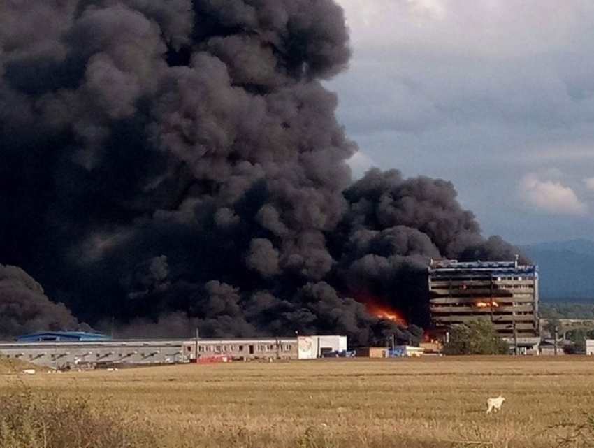 Грандиозный пожар на фабрике с пятью пострадавшими сняли на видео