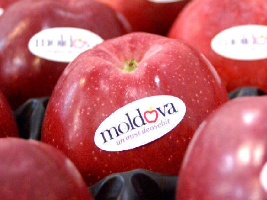 В Россию экспортируется в 260 раз больше молдавских яблок, чем в ЕС 