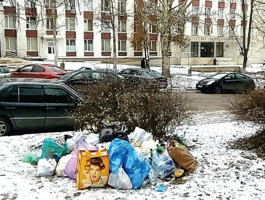 Жильцы дома по ул. Теилор в Кишиневе выбрасывают мусор куда попало