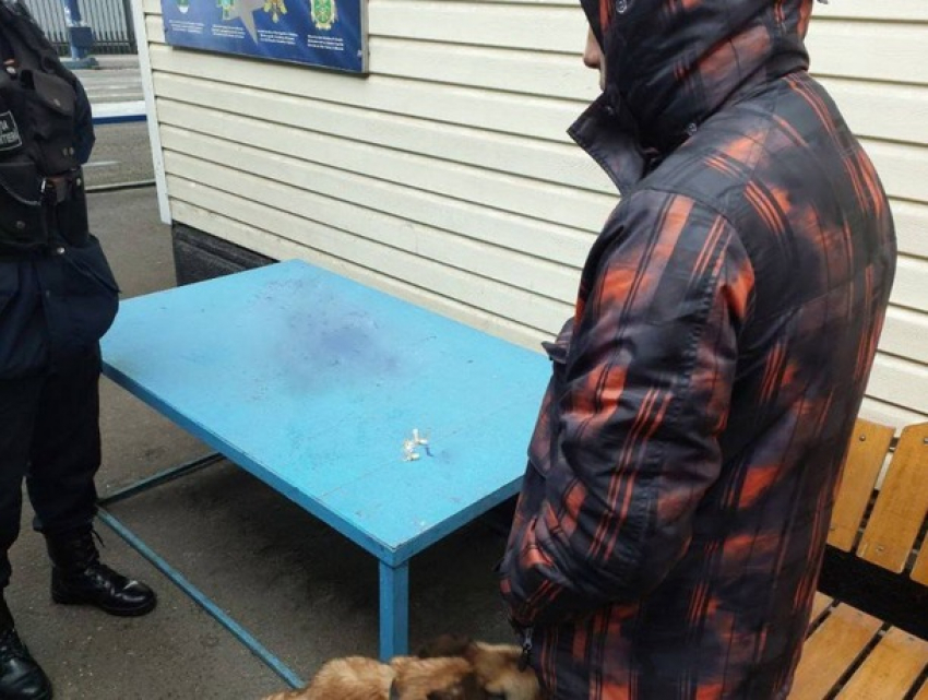 Служебный пес учуял «вещества» у молдаванина на границе