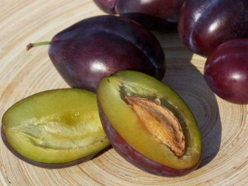 Партию слив с ДНК гнили из Молдовы выявили в России