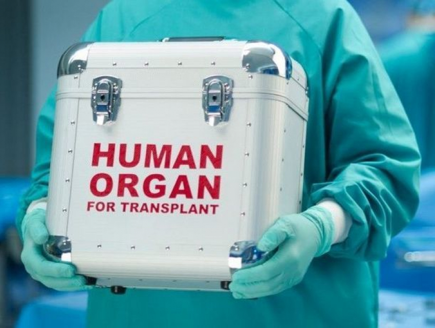 Молдова будет осуществлять обмен органами для трансплантации с международными медучреждениями 