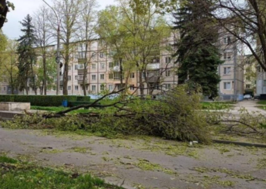 Ребёнок, пострадавший в зоопарке Кишинёва, находится в реанимации: состояние тяжёлое