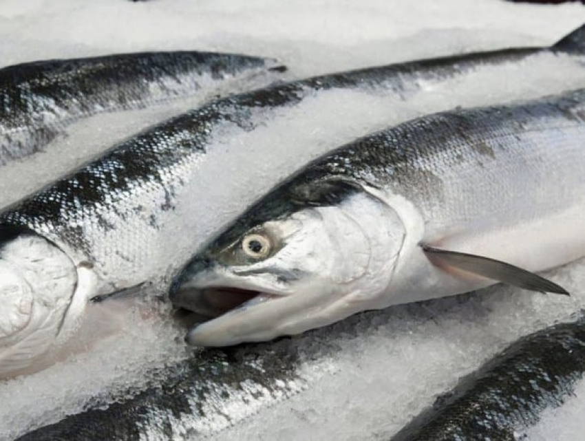 В молдавских супермаркетах нагло обманывают людей, запредельно пичкая рыбу льдом