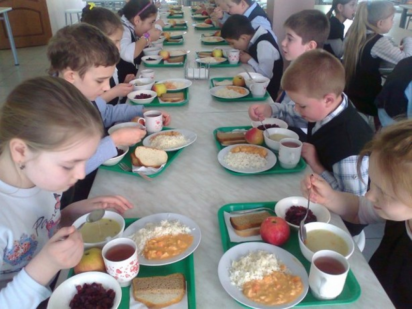 Поставки продуктов питания в школьные и дошкольные учреждения осуществляются с нарушениями