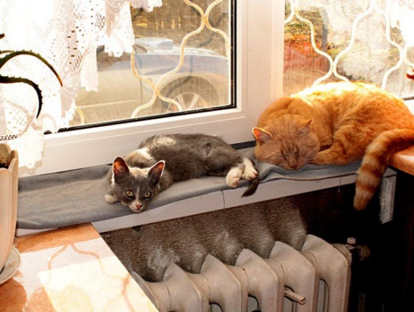 Жильцы и управдомы могут регулировать тепло в доме
